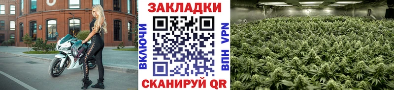 Купить наркоту Грайворон СК КОКАИН АМФЕТАМИН Канабис МЕФ