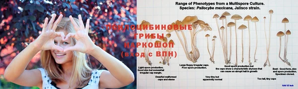 спайс Алексин