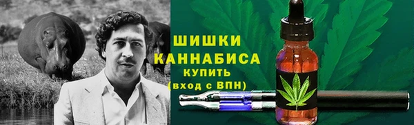шишки Алексеевка