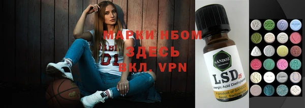 индика Алзамай