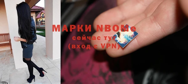 индика Алзамай