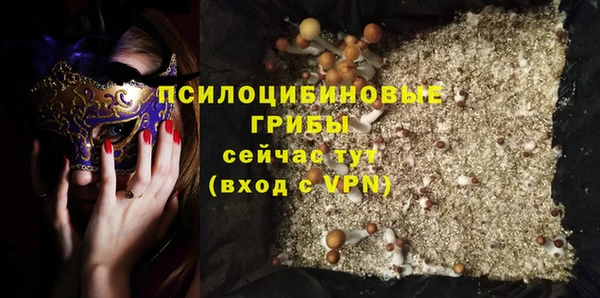 спайс Алексин