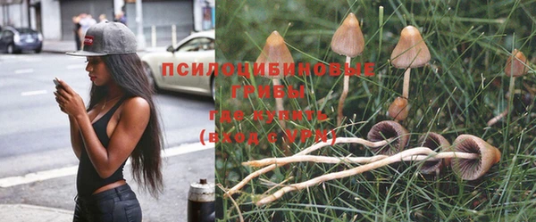 шишки Алексеевка
