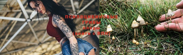 шишки Алексеевка