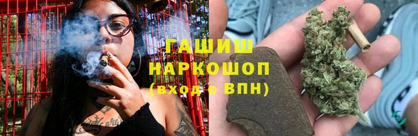индика Алзамай