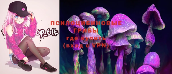 спайс Алексин
