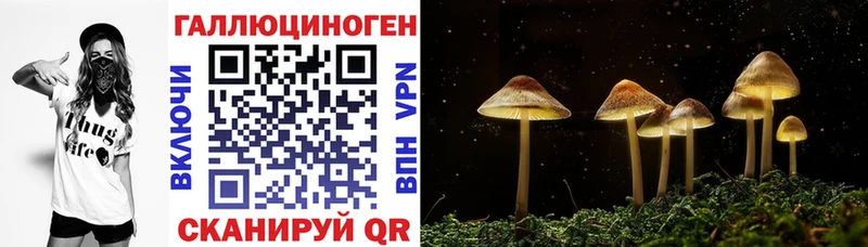 Галлюциногенные грибы ЛСД магазин продажи Грайворон